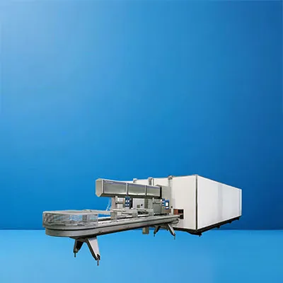 Ice Cream Extrusion Line Showcase
